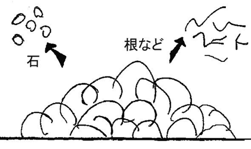 土をほぐし、根や石を取り除く。